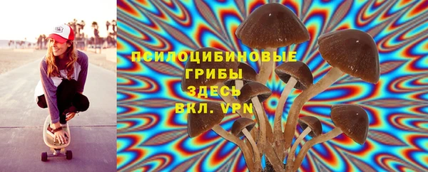 стаф Алексеевка