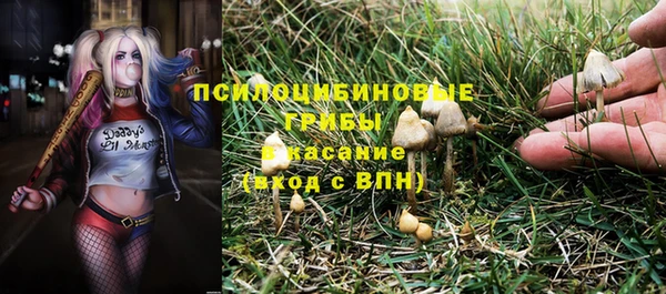 spice Алексин