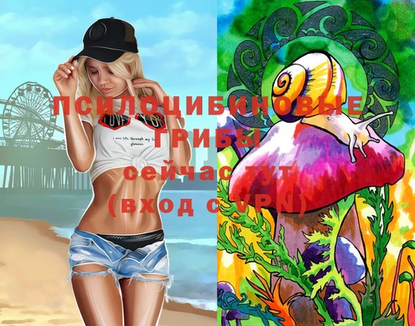 spice Алексин