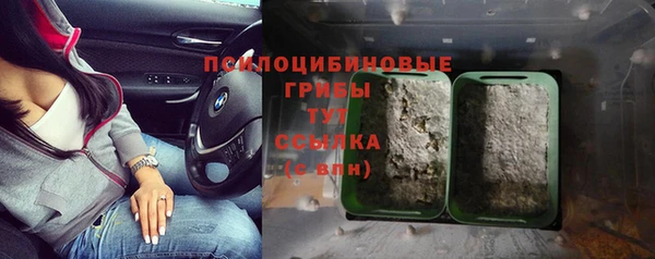 стаф Алексеевка